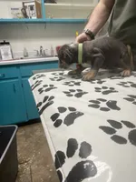 processed/3d724046-7f9c-455b-ba84-971a85df44f9/listing/75217b19-b17f-4643-8157-df93eb10be73/cfd141c9-3e87-4c33-9ef4-0d1f4f61950d