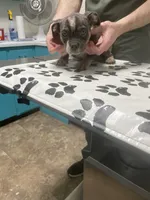 processed/3d724046-7f9c-455b-ba84-971a85df44f9/listing/75217b19-b17f-4643-8157-df93eb10be73/f45ce9d4-e21d-4a8b-98de-7c2ff6529ec4