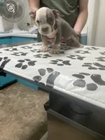 processed/3d724046-7f9c-455b-ba84-971a85df44f9/listing/b8d9c978-096a-4abc-8968-3f0c468dc5db/273f7f33-0b9a-4916-906d-e710dfa7fac2