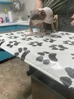 processed/3d724046-7f9c-455b-ba84-971a85df44f9/listing/b8d9c978-096a-4abc-8968-3f0c468dc5db/3f077a11-944e-45b0-89c9-f0e85f0728bf