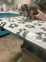 processed/3d724046-7f9c-455b-ba84-971a85df44f9/listing/b8d9c978-096a-4abc-8968-3f0c468dc5db/d92ea51c-8660-40cf-93b6-ec63115a229b