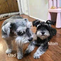 processed/3d733bc8-f16c-4231-8e9a-da071054a580/facility/2a2472ef-5edd-42d8-8c76-68f728b41891