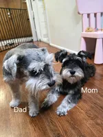 processed/3d733bc8-f16c-4231-8e9a-da071054a580/facility/2a2472ef-5edd-42d8-8c76-68f728b41891