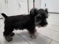 processed/3d733bc8-f16c-4231-8e9a-da071054a580/listing/4ec49f19-9900-4311-9f0d-bf7a9da93b6a/1742717c-d771-4473-9b93-e5f46fe4d70d