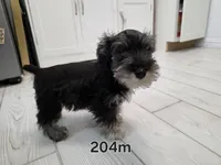 processed/3d733bc8-f16c-4231-8e9a-da071054a580/listing/4ec49f19-9900-4311-9f0d-bf7a9da93b6a/176fbfa5-9580-4bdf-8462-37234606f90a