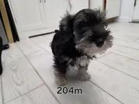 processed/3d733bc8-f16c-4231-8e9a-da071054a580/listing/4ec49f19-9900-4311-9f0d-bf7a9da93b6a/57b3920b-f501-4990-8a96-2af3ab847beb