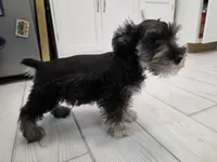 processed/3d733bc8-f16c-4231-8e9a-da071054a580/listing/4ec49f19-9900-4311-9f0d-bf7a9da93b6a/a02d01c3-3bd4-4b97-8487-6966e3e86ecf