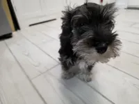 processed/3d733bc8-f16c-4231-8e9a-da071054a580/listing/4ec49f19-9900-4311-9f0d-bf7a9da93b6a/bf608a36-f52f-44e5-8f86-b25999c2dc47