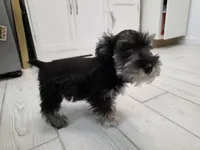 processed/3d733bc8-f16c-4231-8e9a-da071054a580/listing/4ec49f19-9900-4311-9f0d-bf7a9da93b6a/c801910b-0ea2-4b1c-854f-d5e9a07af78b