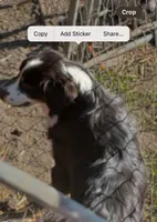 processed/3d769f2d-443f-4a3d-b6da-8e75f9a48f32/listing/071b0d40-9200-4255-a31a-4fb530ac5fbf/2e908e42-30d1-4449-ac5e-57b00b8b0335