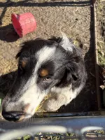 processed/3d769f2d-443f-4a3d-b6da-8e75f9a48f32/listing/071b0d40-9200-4255-a31a-4fb530ac5fbf/55e5fb0a-1b53-4caf-ac48-48c087cd96b1