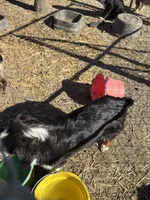 processed/3d769f2d-443f-4a3d-b6da-8e75f9a48f32/listing/071b0d40-9200-4255-a31a-4fb530ac5fbf/a9d03e87-1f5b-4c13-be1d-19801ebc8219