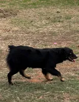 processed/3d769f2d-443f-4a3d-b6da-8e75f9a48f32/listing/12c1f32e-3af2-4de1-86b2-785586ebb4f3/048197c3-76e7-4a4e-82c9-ce16b4e23e45