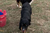 processed/3d769f2d-443f-4a3d-b6da-8e75f9a48f32/listing/12c1f32e-3af2-4de1-86b2-785586ebb4f3/54a2550b-df44-4a75-8b60-0dfe9166362d