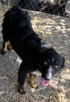 processed/3d769f2d-443f-4a3d-b6da-8e75f9a48f32/listing/12c1f32e-3af2-4de1-86b2-785586ebb4f3/7353b642-709e-42ab-ad5f-31a45c094d0c