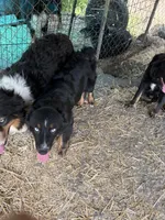 processed/3d769f2d-443f-4a3d-b6da-8e75f9a48f32/listing/12c1f32e-3af2-4de1-86b2-785586ebb4f3/f9862123-54f3-44ac-a73b-fb9f80ca82a0