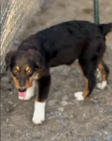 processed/3d769f2d-443f-4a3d-b6da-8e75f9a48f32/listing/6f1d6d04-d661-463a-ad87-45ced34321bc/032aa311-7a82-49b2-8ae9-b01fd327cfdb