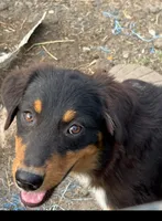 processed/3d769f2d-443f-4a3d-b6da-8e75f9a48f32/listing/6f1d6d04-d661-463a-ad87-45ced34321bc/ae8d7cbc-2110-48de-8f7d-eee8cafdf8d9