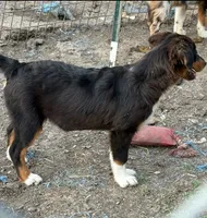 processed/3d769f2d-443f-4a3d-b6da-8e75f9a48f32/listing/6f1d6d04-d661-463a-ad87-45ced34321bc/fe08139f-c70c-4681-a5ca-7f6a512c7c5b