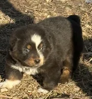 processed/3d769f2d-443f-4a3d-b6da-8e75f9a48f32/listing/993b063c-afa9-41a3-997f-487049a20664/7af0da06-cc5f-44f9-8bc8-2c0af3b61119