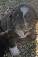 processed/3d769f2d-443f-4a3d-b6da-8e75f9a48f32/listing/993b063c-afa9-41a3-997f-487049a20664/aaf1af3c-2344-463e-a946-9ef354a67de9