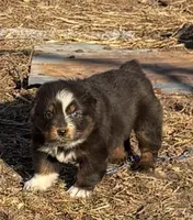 processed/3d769f2d-443f-4a3d-b6da-8e75f9a48f32/listing/993b063c-afa9-41a3-997f-487049a20664/b60f2ab6-fdc3-4802-9f92-34f465be893d