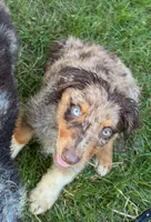 processed/3d769f2d-443f-4a3d-b6da-8e75f9a48f32/listing/a0443b2b-da0f-404c-ad3b-a0364e533457/70c69ecb-89bf-409d-b120-6310e10fb030