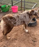 processed/3d769f2d-443f-4a3d-b6da-8e75f9a48f32/listing/a0443b2b-da0f-404c-ad3b-a0364e533457/d2a12a74-83ce-4101-8a9d-f5fd5e95001b