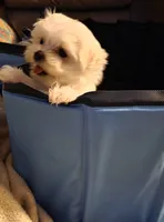 processed/3d7d29b0-42cb-4ac1-ae98-063cecb1eccf/listing/609100b3-29af-4f98-bd46-596afe3d7674/5ca74563-0f3b-43e5-b445-3725b20349a7