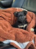 processed/3d84c59e-e83c-43c2-ad6e-8046a6bf36cd/listing/6e9ecf61-c0ef-4e6f-bb4b-216b956a4c94/80285ad7-d721-4001-a48c-2aeaa0afebba