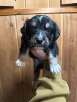 processed/3d84c59e-e83c-43c2-ad6e-8046a6bf36cd/listing/8f9a583a-e8a3-468a-af04-ae1576f148b3/4e3717ad-0a80-4d2f-91de-51a89140f34c