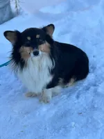 processed/3d84c59e-e83c-43c2-ad6e-8046a6bf36cd/listing/8f9a583a-e8a3-468a-af04-ae1576f148b3/a11f0f77-0157-46ce-a017-6cba9313010e