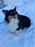 processed/3d84c59e-e83c-43c2-ad6e-8046a6bf36cd/listing/8f9a583a-e8a3-468a-af04-ae1576f148b3/acf7152e-04ca-44e0-80ab-82e0a68a8c18