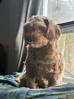 processed/3d84c59e-e83c-43c2-ad6e-8046a6bf36cd/listing/93466501-0b39-4333-82f2-f74f3bb17326/36199537-fdc8-4c2e-91bf-c375512f811b