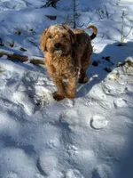 processed/3d84c59e-e83c-43c2-ad6e-8046a6bf36cd/listing/93466501-0b39-4333-82f2-f74f3bb17326/425cb5f6-c5ca-4720-bfa0-fa237210b68a