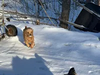 processed/3d84c59e-e83c-43c2-ad6e-8046a6bf36cd/listing/93466501-0b39-4333-82f2-f74f3bb17326/49841646-21f1-49f2-88f4-6c31e061529b