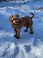 processed/3d84c59e-e83c-43c2-ad6e-8046a6bf36cd/listing/93466501-0b39-4333-82f2-f74f3bb17326/86c551e7-283a-4f71-a80e-1e47e851a42b