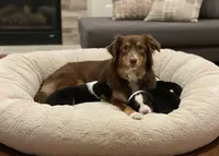 processed/3d84c59e-e83c-43c2-ad6e-8046a6bf36cd/listing/971b71d1-e74c-4961-9365-43fa12c2acb1/496592c9-900b-4669-be75-ef208d3432ea