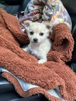 processed/3d84c59e-e83c-43c2-ad6e-8046a6bf36cd/listing/ac7bef87-6511-4726-b5f6-0972a5f267da/492f69fd-57bb-4c0c-a768-4dbc8c95b54e