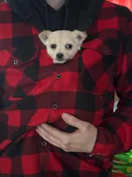 processed/3d84c59e-e83c-43c2-ad6e-8046a6bf36cd/listing/ac7bef87-6511-4726-b5f6-0972a5f267da/ed4c3c7d-e44d-4ae8-92eb-92be0e44944f