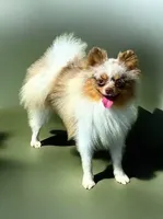 processed/3da1ef1e-16a8-4632-bb3b-17c16883e73a/facility/5a2f126f-03a4-4ef9-9b8c-d97a41c9edf5