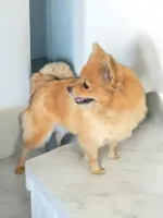 processed/3da1ef1e-16a8-4632-bb3b-17c16883e73a/facility/5e3e1b1a-749b-4f22-b523-69fb3ba81924