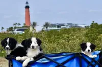 processed/3da7f3b4-105d-45b9-9aa3-60e3708c7562/facility/267a4594-03fe-496f-8816-6fb4352c3e5a