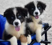 processed/3da7f3b4-105d-45b9-9aa3-60e3708c7562/facility/271c2a5c-3364-4390-8ec4-1504d577f60c