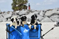 processed/3da7f3b4-105d-45b9-9aa3-60e3708c7562/facility/2b91c83d-0fbe-4a9a-a624-6f2f0b60c9e8