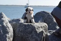 processed/3da7f3b4-105d-45b9-9aa3-60e3708c7562/facility/645f5dc5-7bf7-4657-9b21-675180b6aa8a