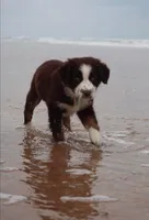 processed/3da7f3b4-105d-45b9-9aa3-60e3708c7562/facility/c5dbd082-3320-48a9-a616-2d2d6e0ec56b