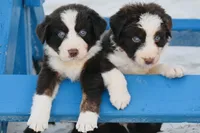 processed/3da7f3b4-105d-45b9-9aa3-60e3708c7562/facility/cdab4cca-65af-482f-8868-3385933dadd6