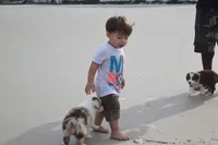 processed/3da7f3b4-105d-45b9-9aa3-60e3708c7562/facility/f4f11a8b-0762-44a4-9733-150def0f807d