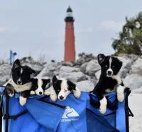 processed/3da7f3b4-105d-45b9-9aa3-60e3708c7562/facility/f82393b2-c499-42a3-a978-6036b85d2782